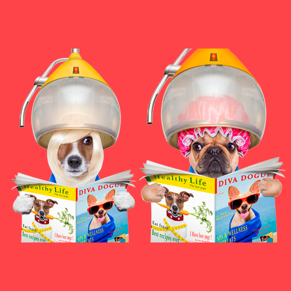 Засоби для догляду