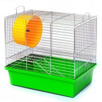 Лорі клітина 